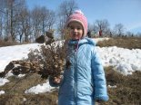 Встреча весны 2008